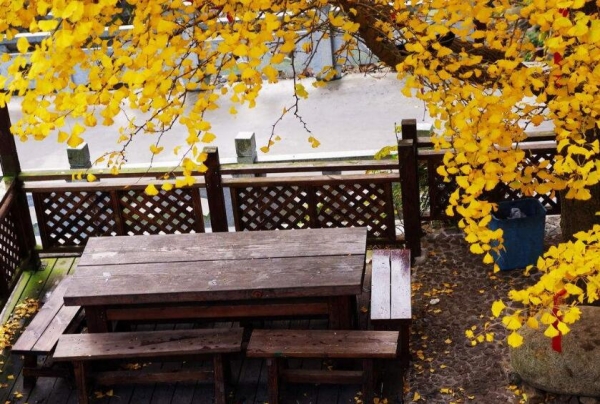 郑州木屋别墅告诉您确保宅男视频污版建筑建筑的要点